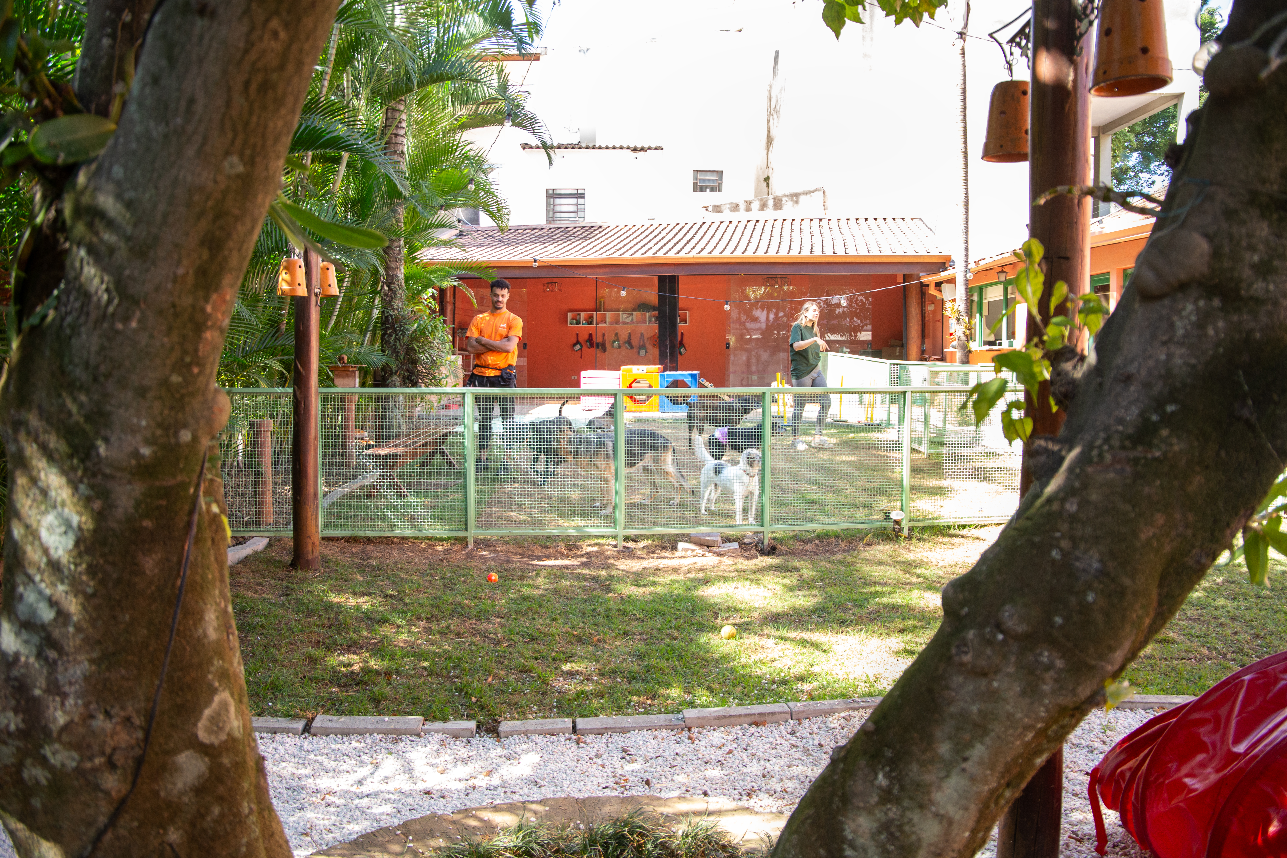 tbl_content image 182